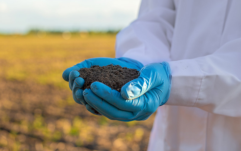 How Advanced Fertilizer Technologies Improve Soil Health and Crop Yield Globally