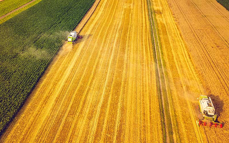 Why Organic and Bio-Based Fertilizers Are Driving the Future of Modern Agriculture