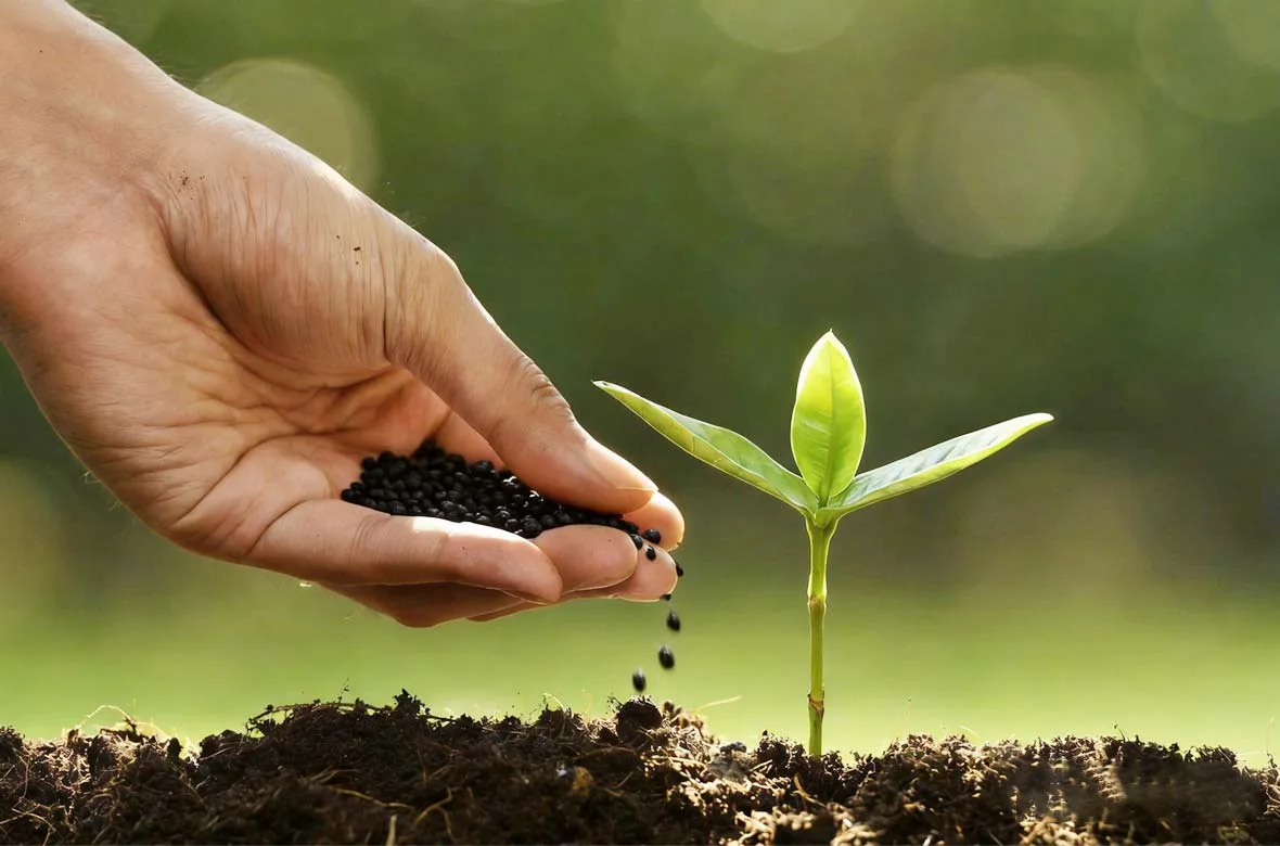 microbial organic fertilizer