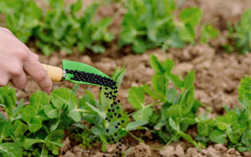 How Reliable Fertilizer Supply and Quality Control Support Global Agricultural Success